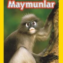 National Geographic Kids – Maymunlar Seviye 2