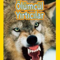 National Geographic Kids – Ölümcül Yırtıcılar Seviye 2