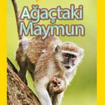 National Geographic Kids-Ağaçtaki Maymun Okul Öncesi