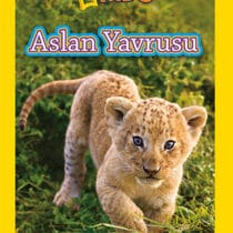 National Geographic Kids – Aslan Yavrusu Okul Öncesi