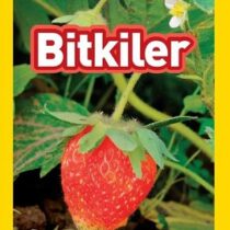 Ng Kids-Bitkiler-Seviye 1