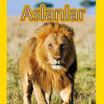 NG Kids- Aslanlar- Seviye 1
