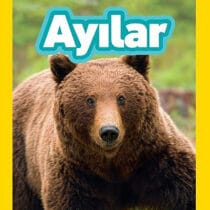 NG Kids-Ayılar-Seviye 3