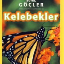 NG Kids – Kelebekler  Seviye 3