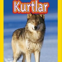 NG Kids – Kurtlar Seviye 2