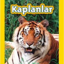 NG Kids – Kaplanlar Seviye 2