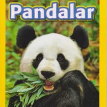 NG Kids-Panda Seviye 2