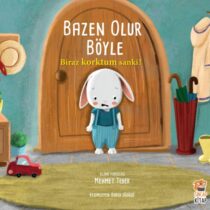 Sincap Kitap – Bazen Olur Böyle Biraz Korktum Sanki