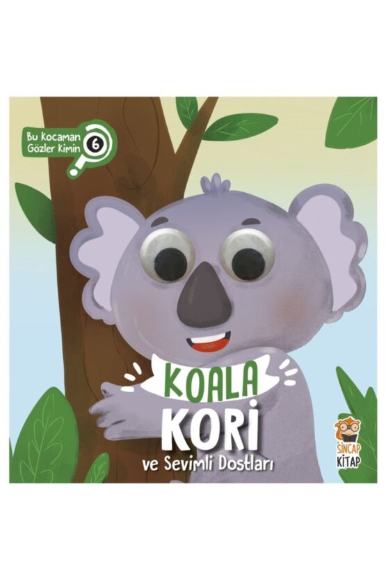SİNCAP KİTAP-Koala Kori ve Sevimli Dostları–Bu Kocaman Gözler Kimin?