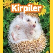 National Geographic Kids-Kirpiler Seviye 1