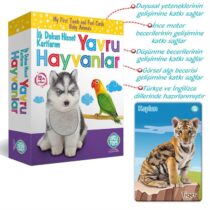Circle Toys – İlk Dokun Hisset Kartlarım (Yavru Hayvanlar)