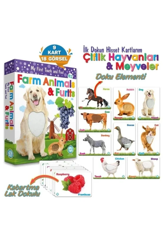 Circle Toys – Dokun Hisset Karltarım ( Çiftlik Hayvanları ve Meyveler )