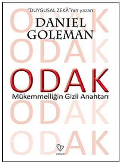 Odak – Daniel Goleman