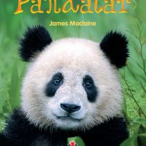 Tübitak Yayınları – İlk Okuma – Pandalar