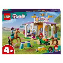 LEGO Friends – At Eğitimi COD.41746