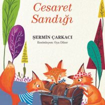 Cesaret Sandığı Hikaye Kitabı