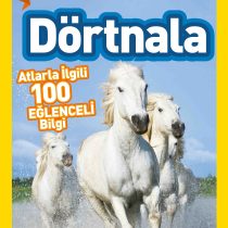 National Geographic Kids – Dörtnala Seviye 3